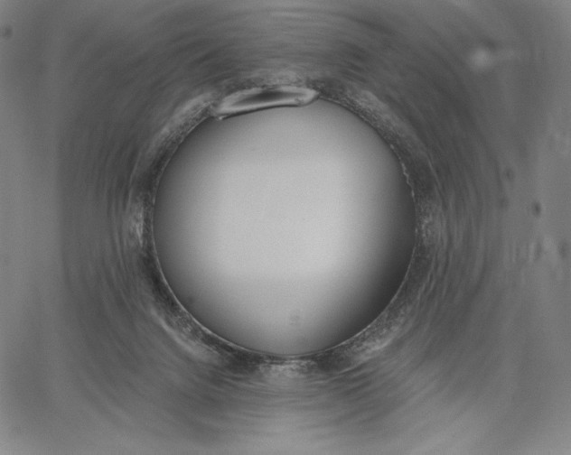 X0000067330072200604131711