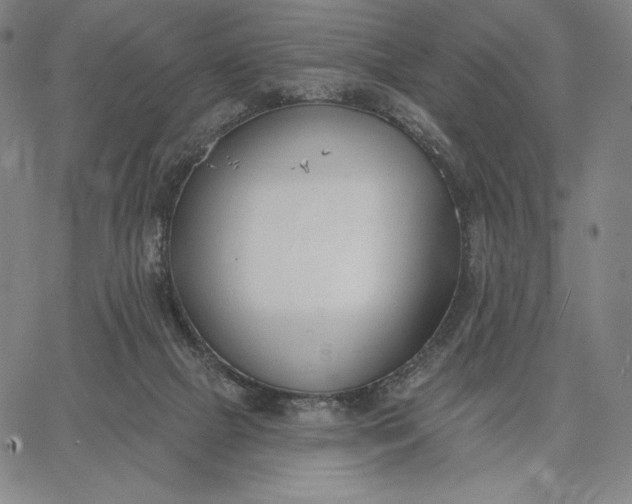 X0000067330073200604131711