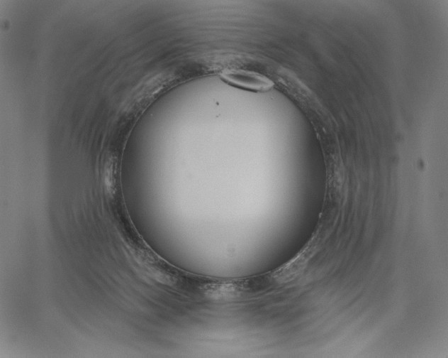 X0000067330074200604131711