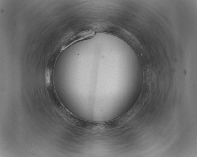 X0000067330075200604131711