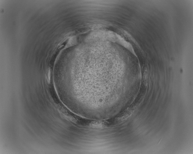 X0000067330076200604131711