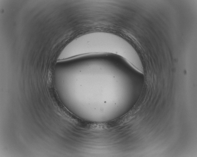 X0000067330077200604131711