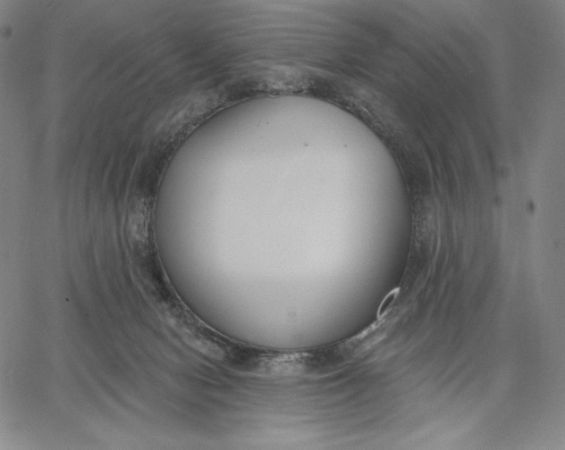 X0000067330078200604131711