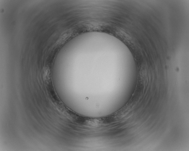 X0000067330079200604131711