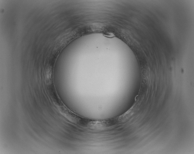 X0000067330082200604131711