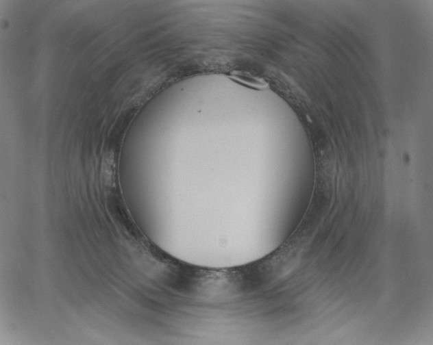 X0000067330083200604131711