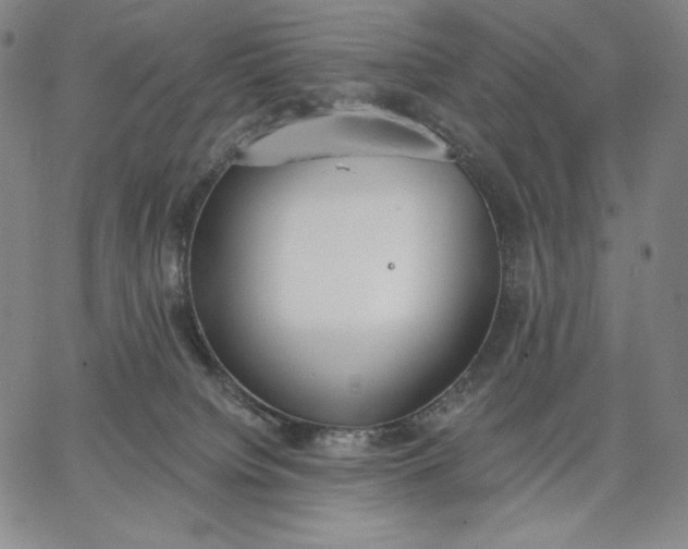 X0000067330084200604131711