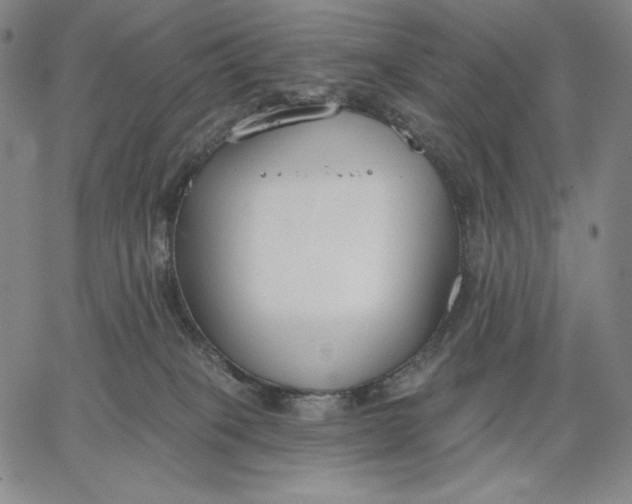 X0000067330085200604131711