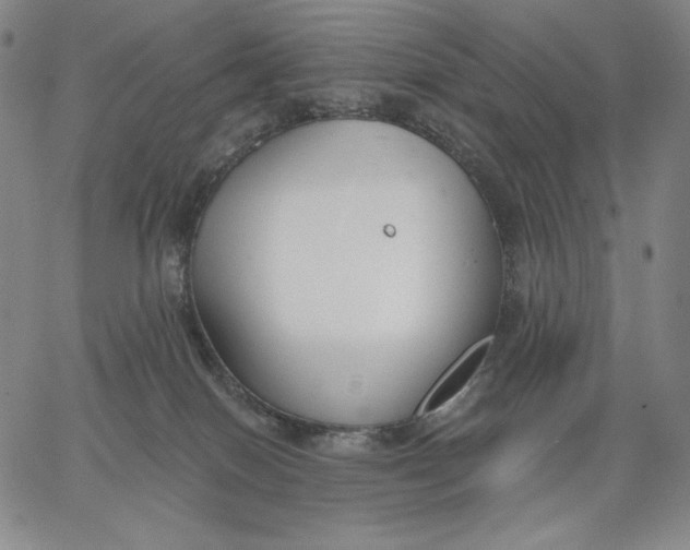 X0000067330086200604131711