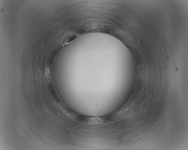 X0000067330087200604131711