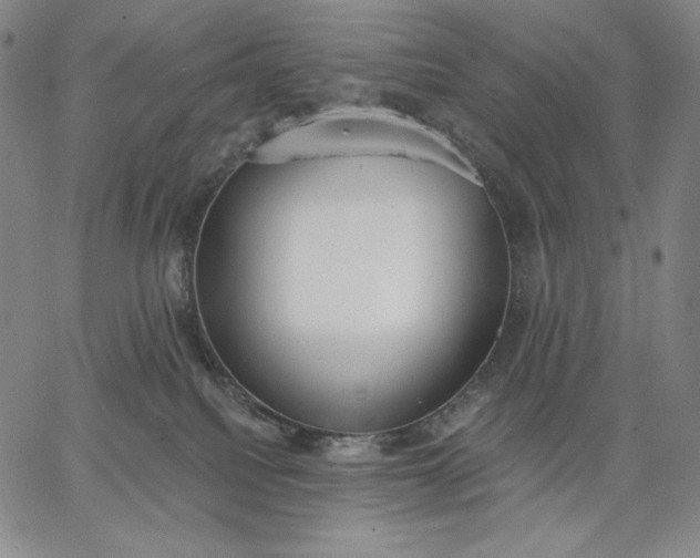 X0000067330088200604131711