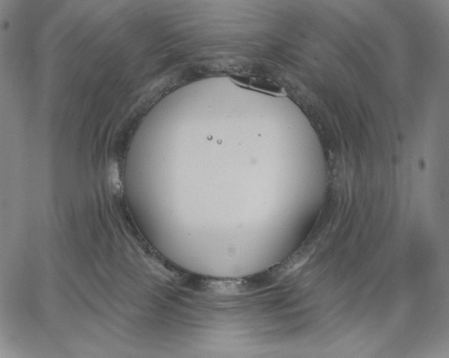 X0000067330089200604131711