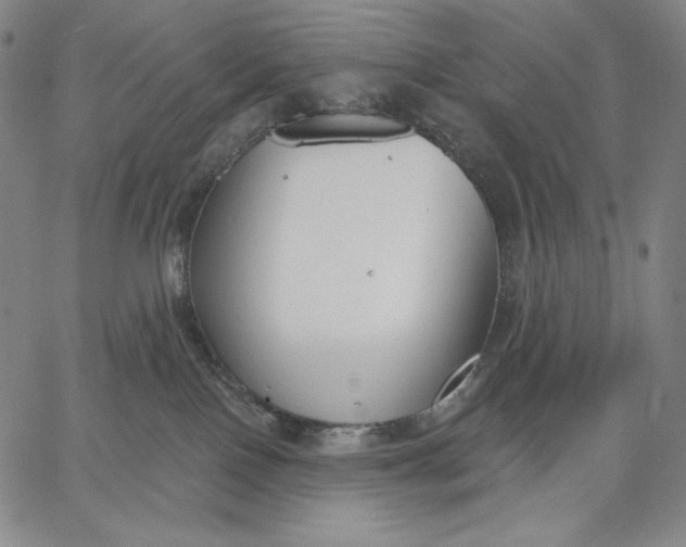 X0000067330090200604131711