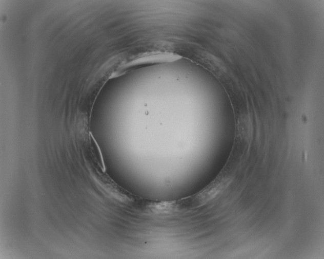 X0000067330092200604131711