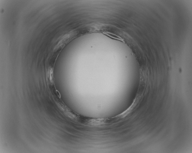 X0000067330094200604131711