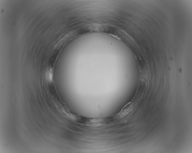 X0000067330095200604131711