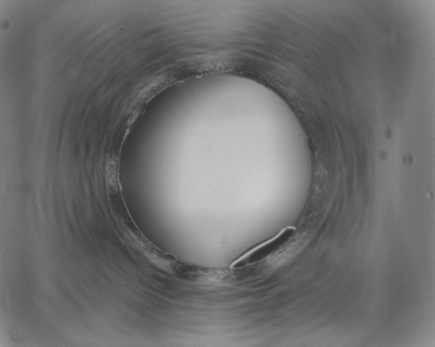 X0000067330096200604131711