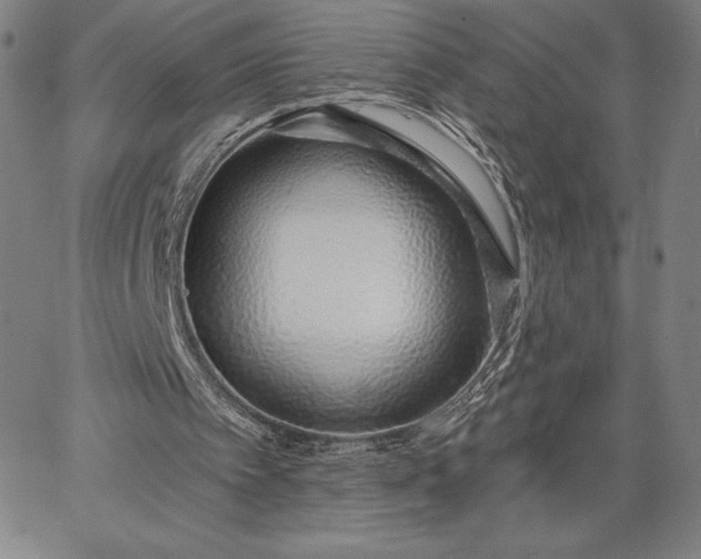 X0000067330097200604131711