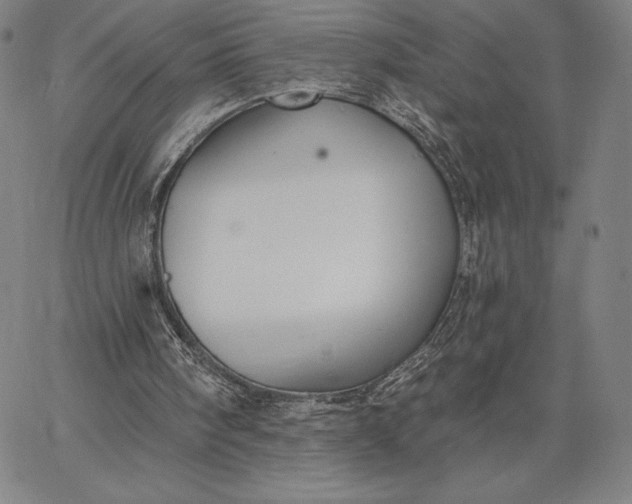 X0000067330098200604131711