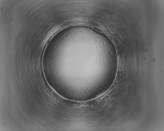 X0000067330099200604131711