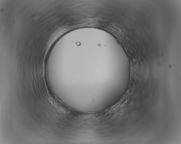 X0000067330100200604131711