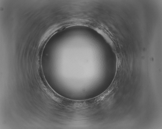 X0000067330101200604131711