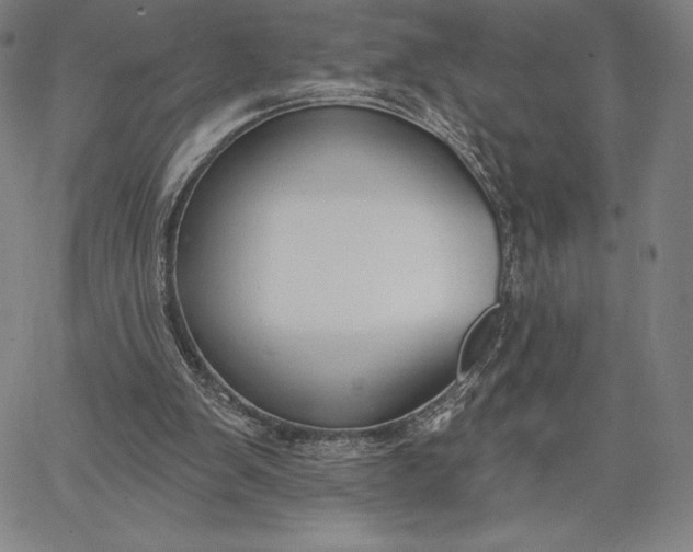 X0000067330103200604131710