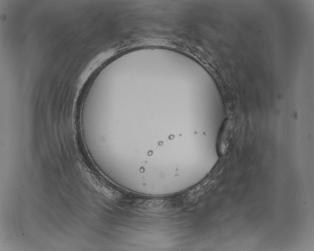 X0000067330104200604131710