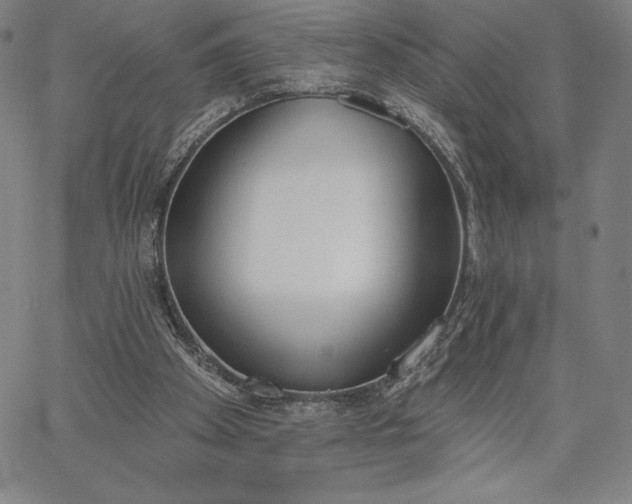 X0000067330105200604131710