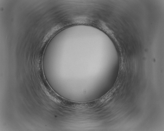 X0000067330106200604131710
