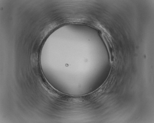 X0000067330107200604131710