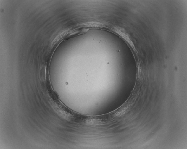 X0000067330109200604131710