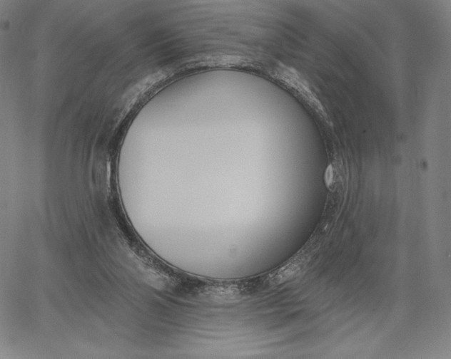 X0000067330110200604131710