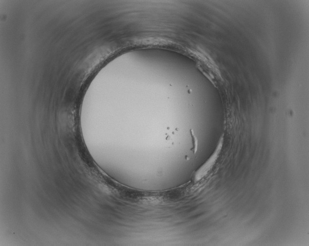 X0000067330111200604131710