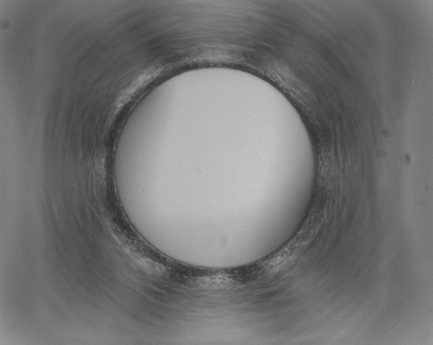 X0000067330112200604131710