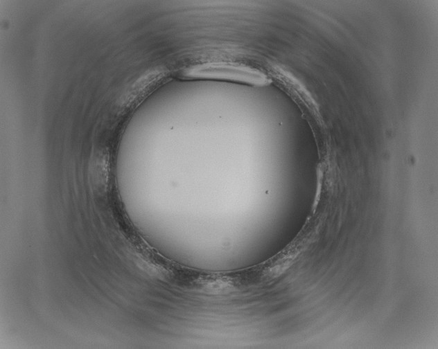 X0000067330113200604131710