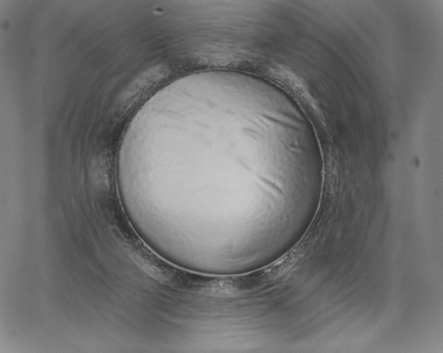 X0000067330114200604131710