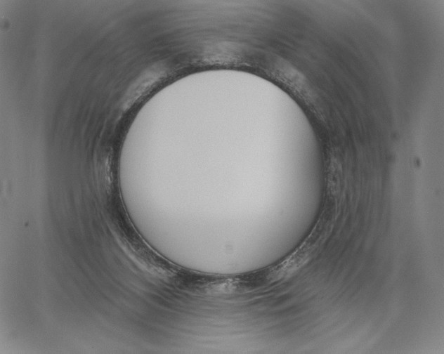 X0000067330116200604131710