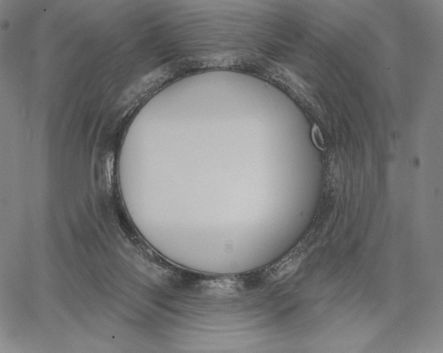 X0000067330118200604131710