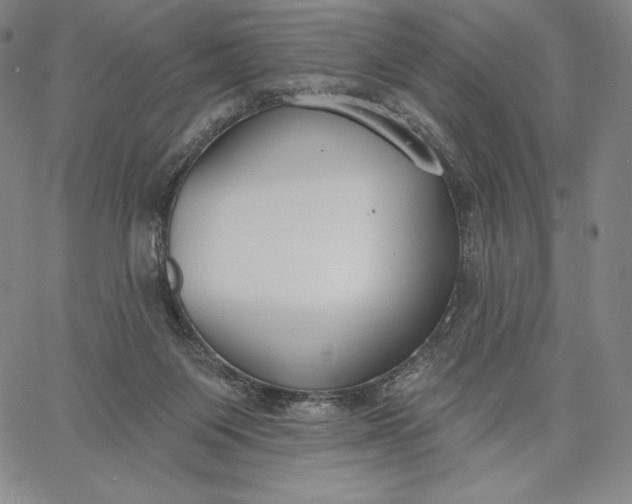 X0000067330119200604131710