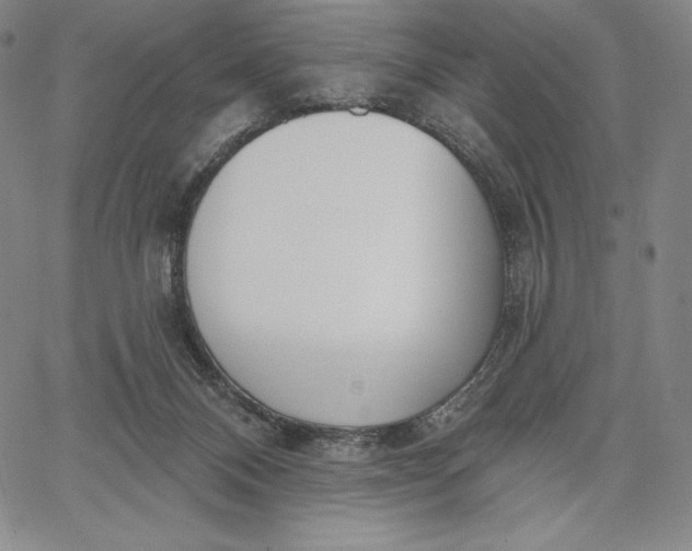 X0000067330120200604131710