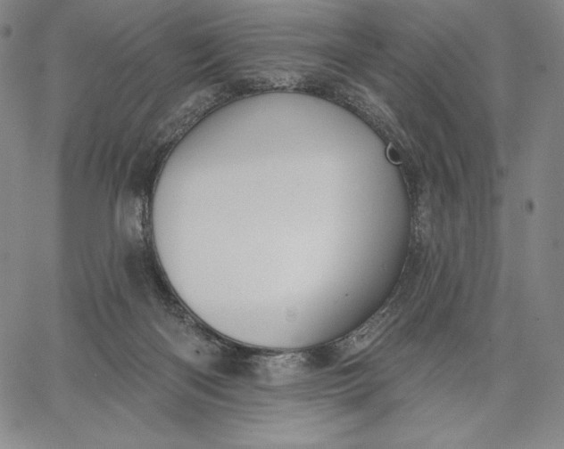 X0000067330122200604131710