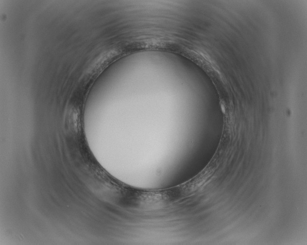 X0000067330123200604131710