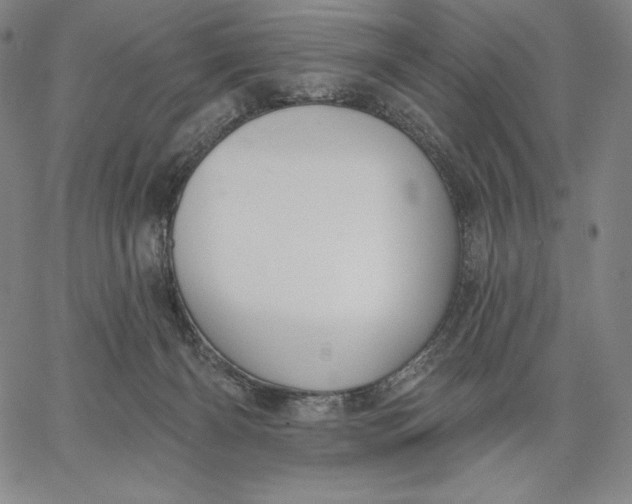 X0000067330126200604131710