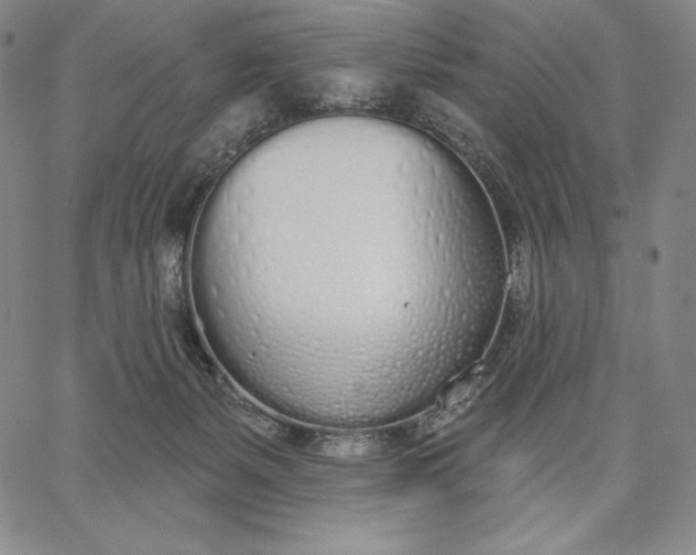 X0000067330127200604131710