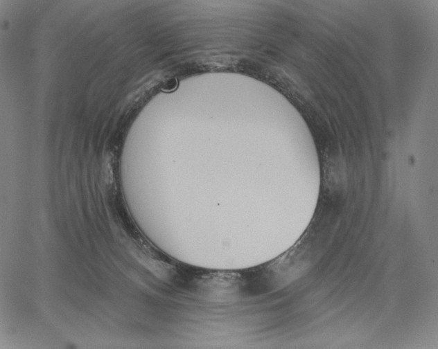 X0000067330128200604131710