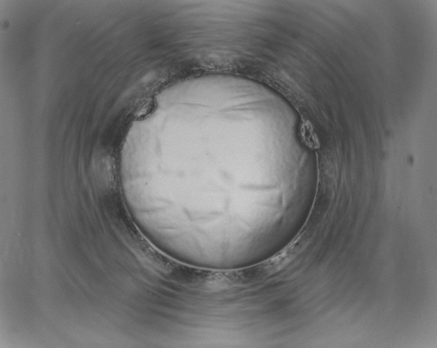 X0000067330130200604131710