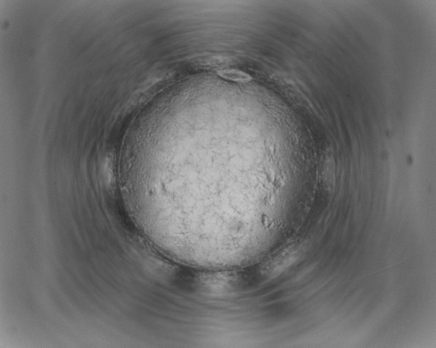 X0000067330131200604131710