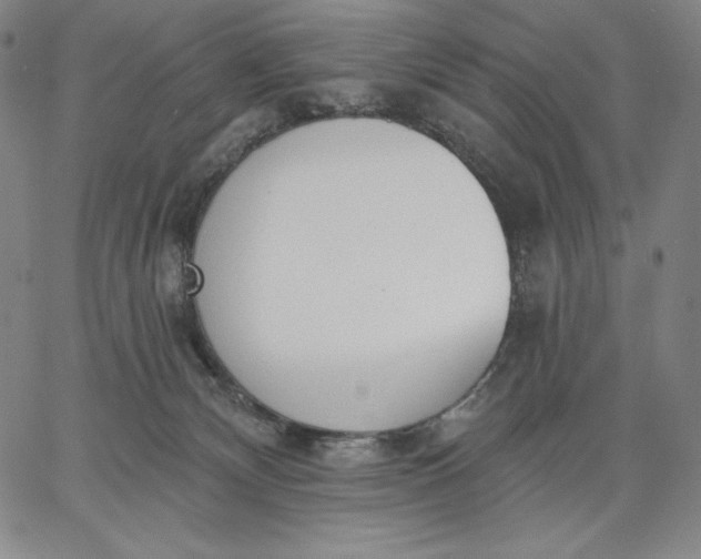 X0000067330132200604131710