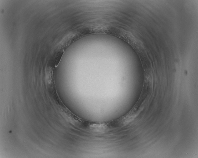 X0000067330133200604131710